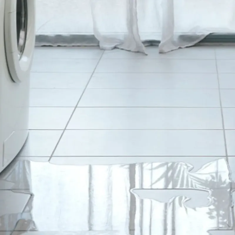 Appliance Leak Cleanup in Boronda, CA